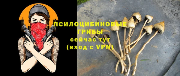 МДПВ Армянск