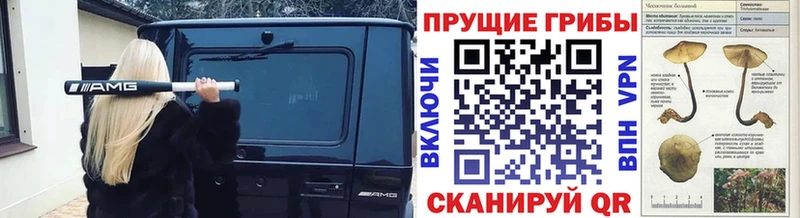Псилоцибиновые грибы GOLDEN TEACHER mega ТОР это формула Сухой Лог
